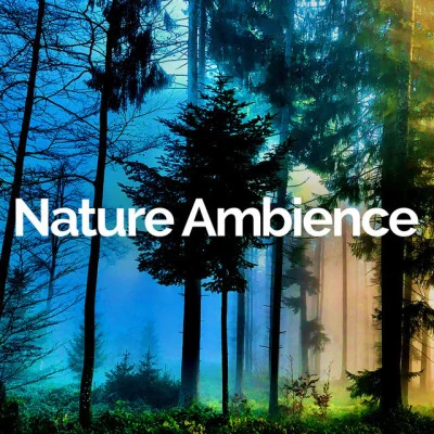 Nature Ambience restful rain (nature sounds)