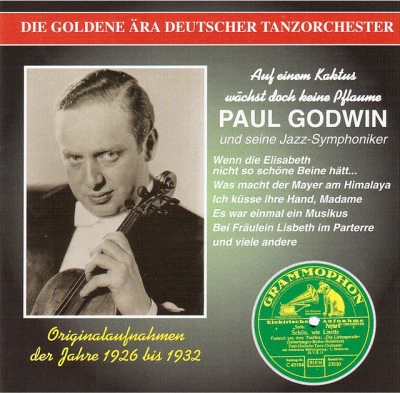 歌手 Paul Godwin