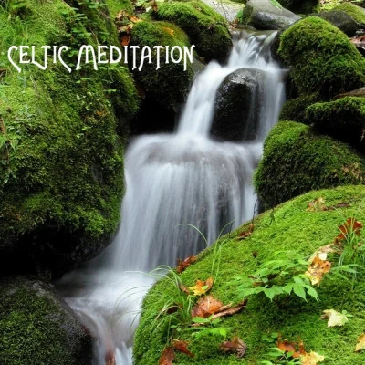 Celtic Meditation Music Specialists 歌手