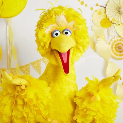 Big Bird 歌手