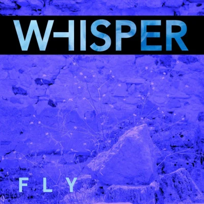 歌手 Whisper