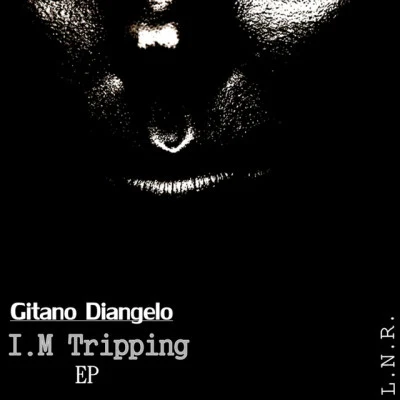 Gitano Diangelo/Mateo Poeg/ZHM/Andrew Noize/John Wolf Happy Birth Day L.N.R 2017