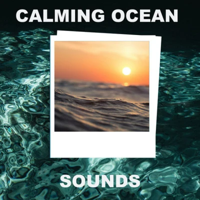 Calming Ocean Sounds 歌手