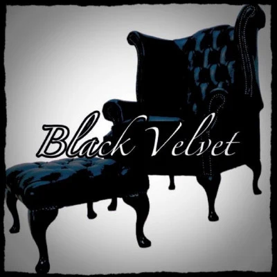 歌手 BLACK VELVETKoit Toome