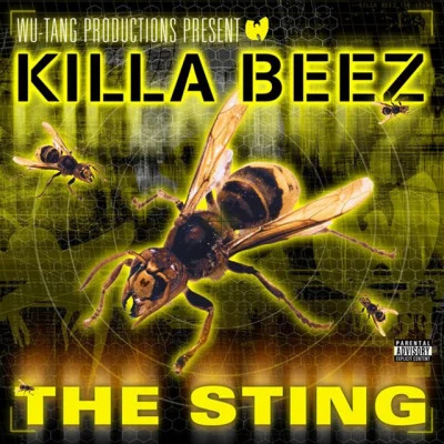 Wu Tang Killa Beez 歌手