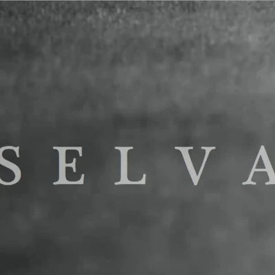 歌手 SelvaZerky