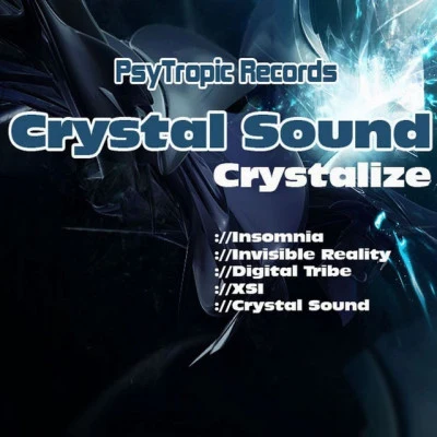 歌手 Crystal Sound