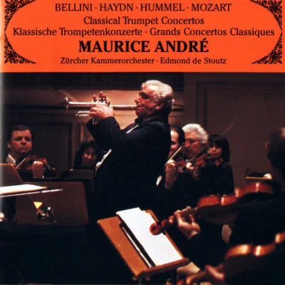 歌手 Edmond de StoutzCarl RüttiVerena GrafFrank MartinZürcher KammerorchesterChantal Mathieu