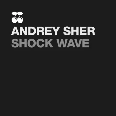 歌手 Andrey SHER