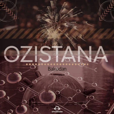 歌手 Ozistana