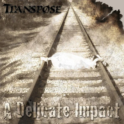 Transpose 歌手