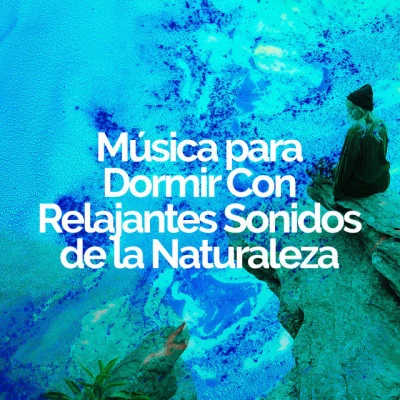 Música para Dormir Con Relajantes Sonidos de la Naturaleza 歌手