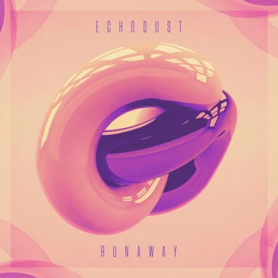 歌手 Echodust