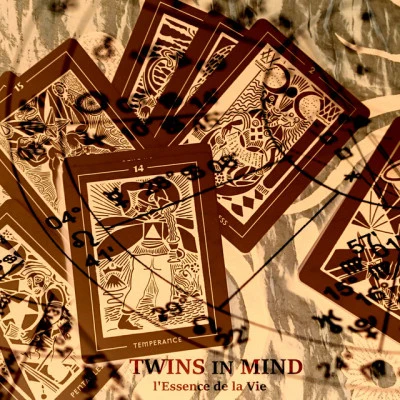 Twins in Mind 歌手