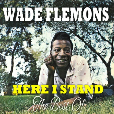 歌手 Wade FlemonsThe Newcomers