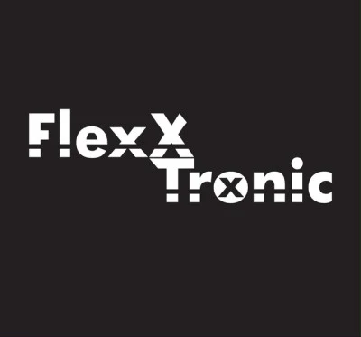 FlexXTronic 歌手