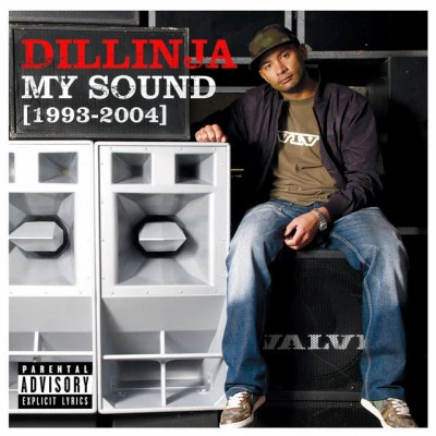 歌手 Dillinja