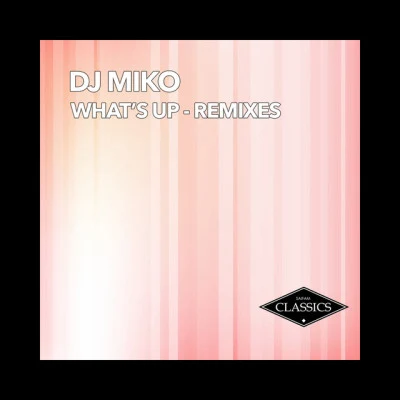 DJ Miko 歌手