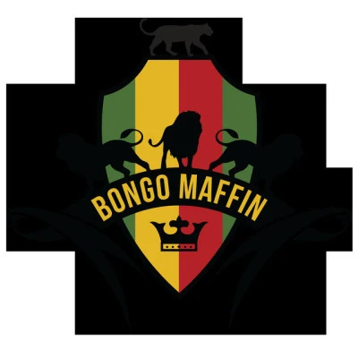 歌手 Bongo Maffin