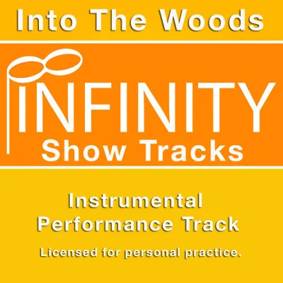 Infinity Show Tracks 歌手