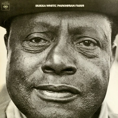 Bukka White 歌手