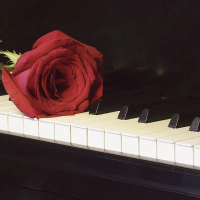 Piano Love Songs/Instrumental Jazz Love Songs emotional Valentine’是gif圖: 15 wonderful rhythms of jazz perfect for couples, romantic dinner, smooth instrumental sounds, relaxing moments, sensual M