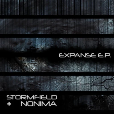 歌手 StormfieldNonima