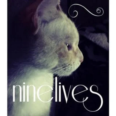 Ninelives 歌手