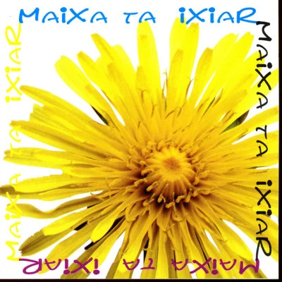 歌手 Maixa Ta Ixiar