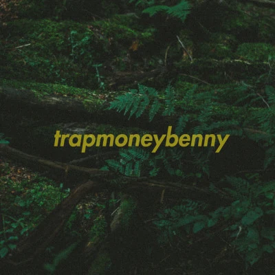 歌手 TrapMoneyBennyInsomniac Lamb$Playboi Carti