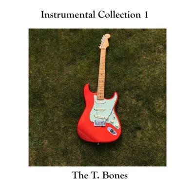 歌手 The T-Bones