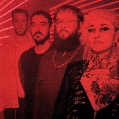 Hiatus Kaiyote 歌手