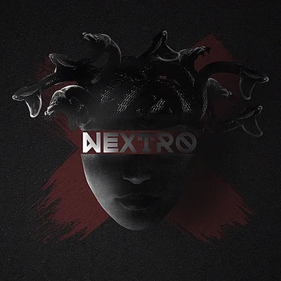 歌手 NextRO