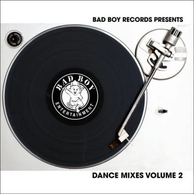 Bad Boy Dance Mixes 歌手