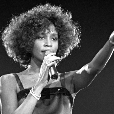 Whitney Houston/Annie Lennox/D. Simmons/Karaoke Diamonds/Linda Thompson Whitney Houston - Greatest Hits