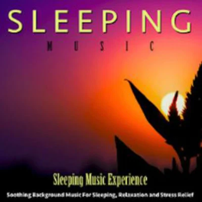 Sleeping Music Experience 歌手