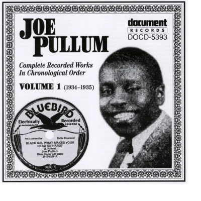 歌手 Joe Pullum