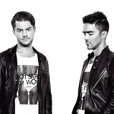 歌手 Dimitri Vangelis & Wyman