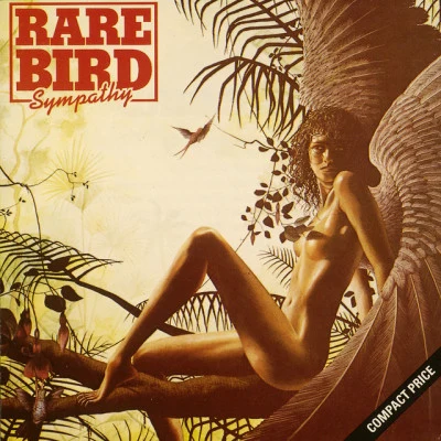 歌手 Rare Bird