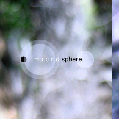 歌手 Microsphere