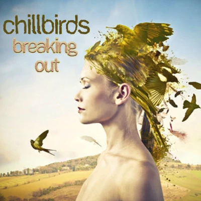 Chillbirds/Hirudo/Massive Gold/Blue Lagoona/Rainfairy Lounge Narratives (Smooth & Silky Chillout Stories for Easy Listening)