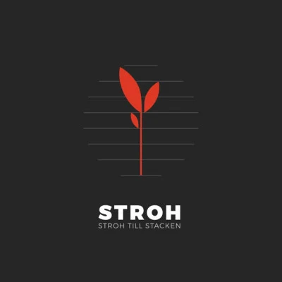 歌手 Stroh