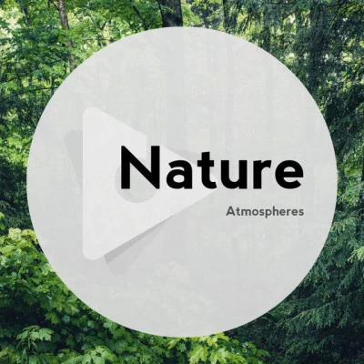 Nature Atmospheres 歌手