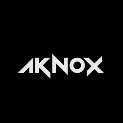 歌手 Aknox