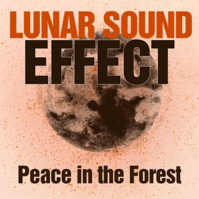 Lunar Sound Effect 歌手