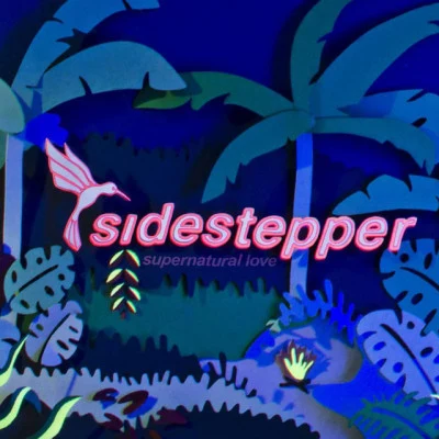 Sidestepper 歌手