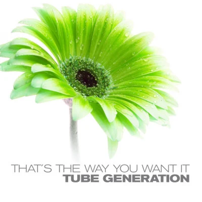 歌手 Tube Generation