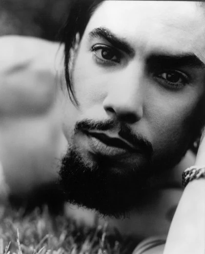 Dave Navarro 歌手