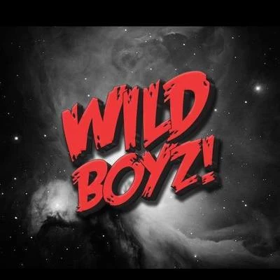 Wild Boyz! 歌手