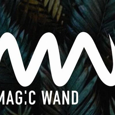 歌手 Magic WandEmma Carn